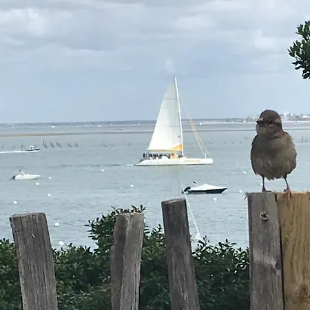 펜션 Cabane Du Bassin Lège-Cap-Ferret